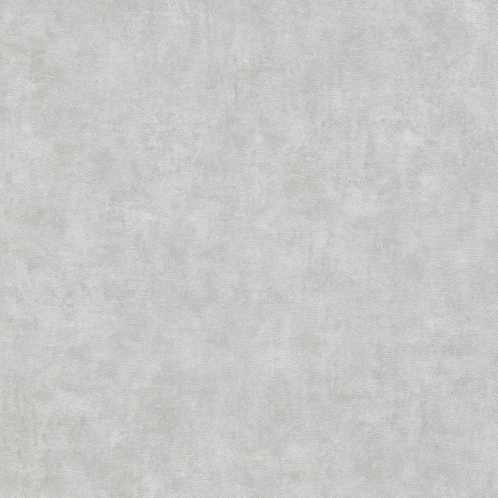 Terra - Industrial Wall plain wallpaper AS Creation Roll Grey  389222