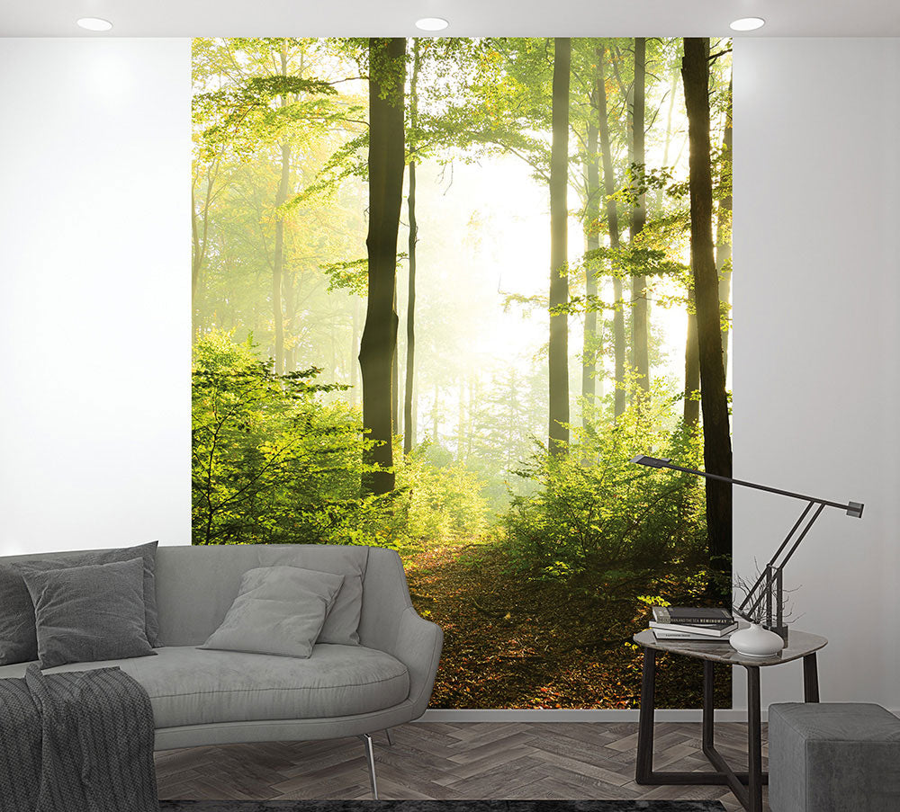Smart Art Easy - Misty Trees smart walls Marburg    