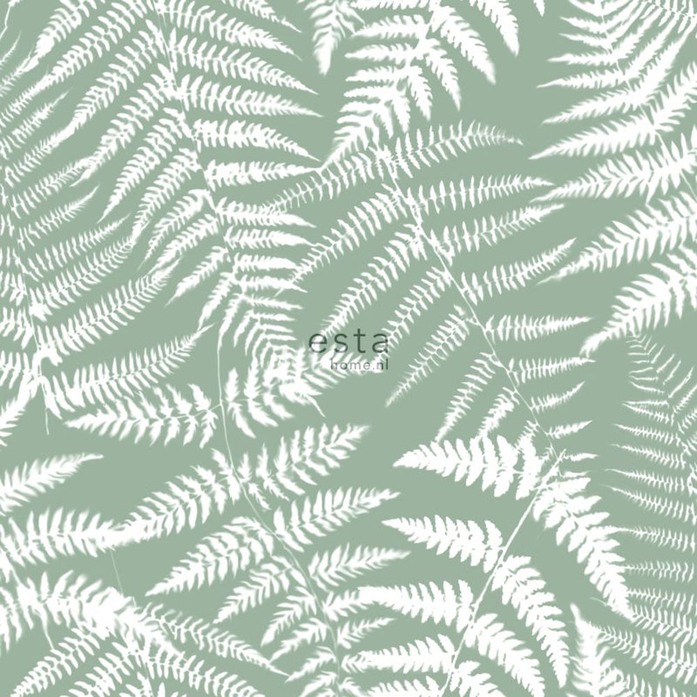Vintage Flowers - Ferns botanical wallpaper Esta Roll Green  138998