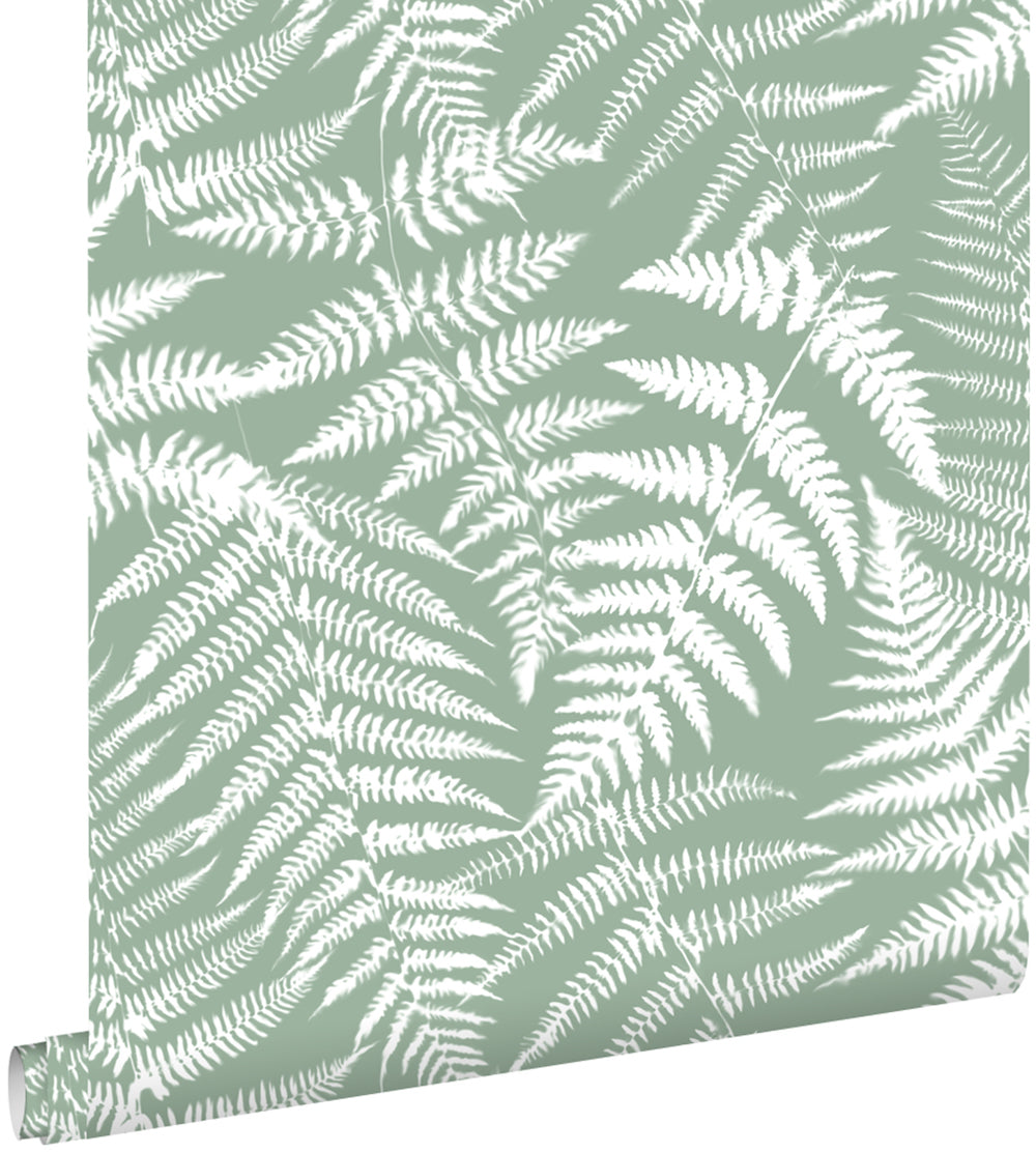 Vintage Flowers - Ferns botanical wallpaper Esta    