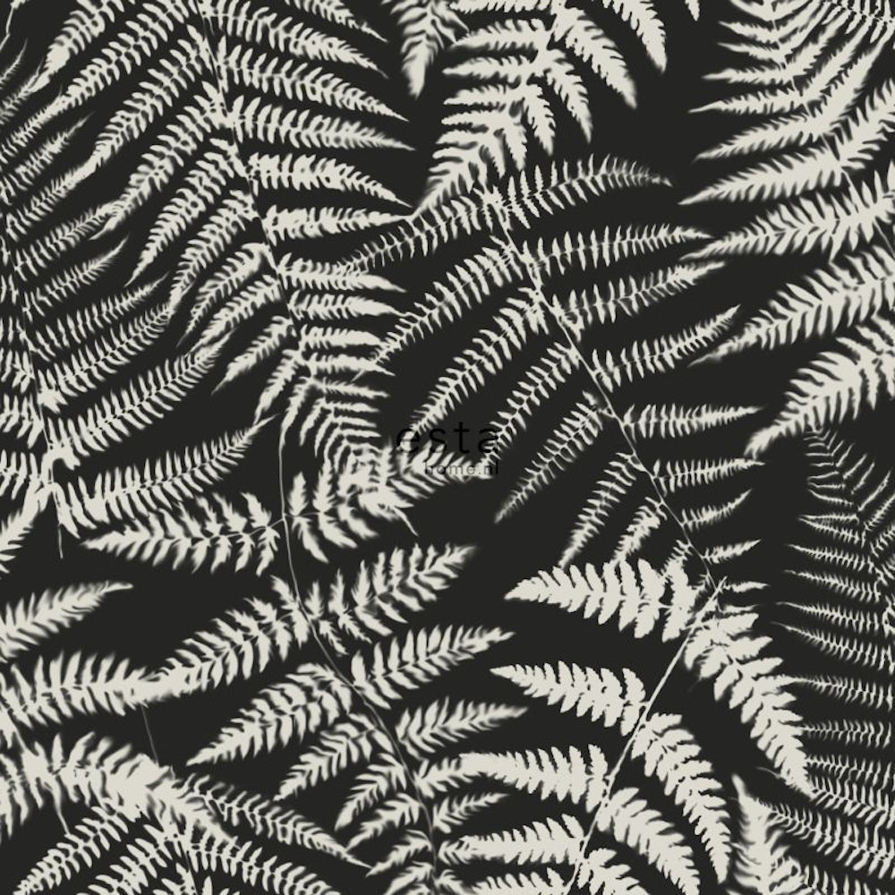 Vintage Flowers - Ferns botanical wallpaper Esta Sample Black  139001-S
