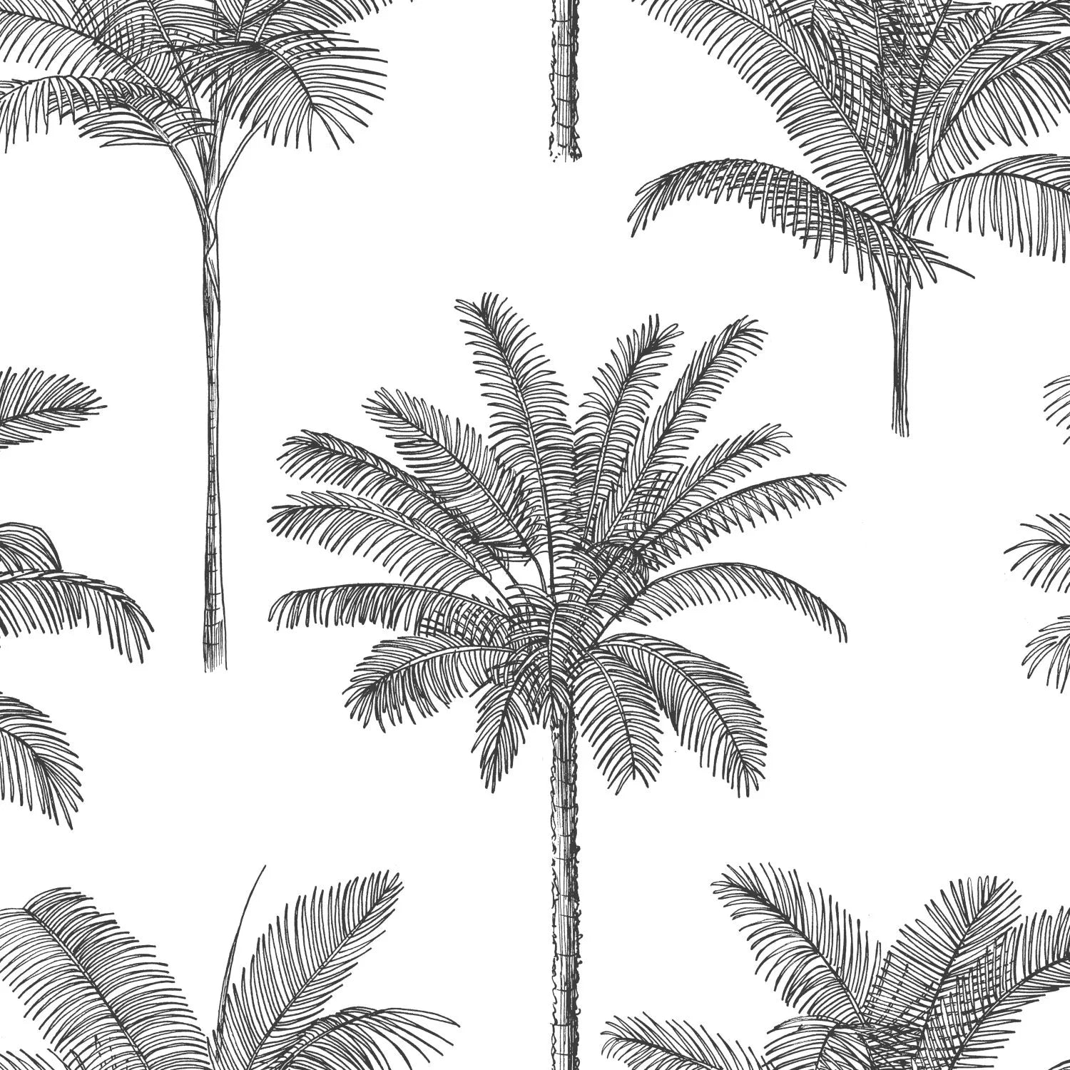 Paradise - Country Palm kids wallpaper ESTAhome Roll White 139162