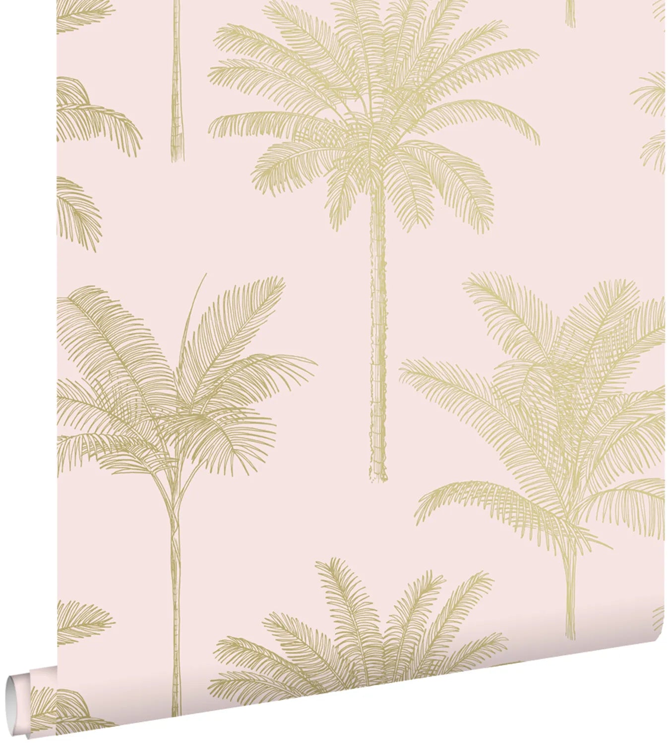 Paradise - Country Palm