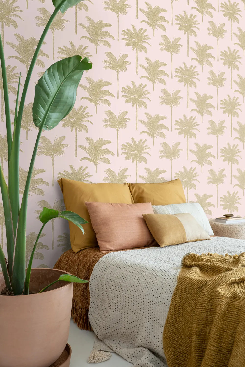 Paradise - Country Palm