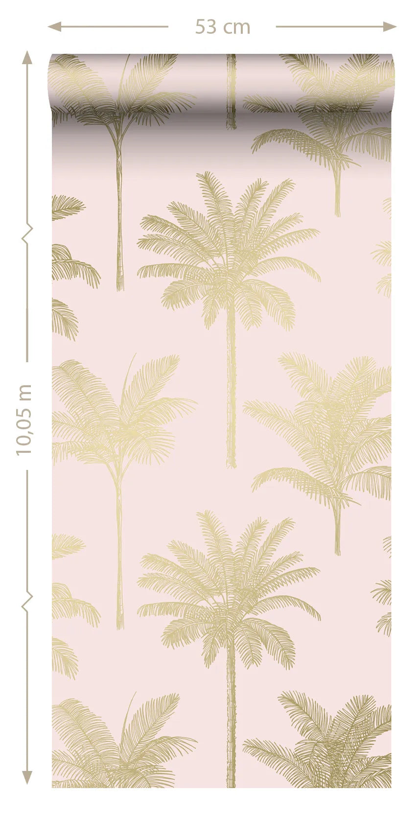 Paradise - Country Palm