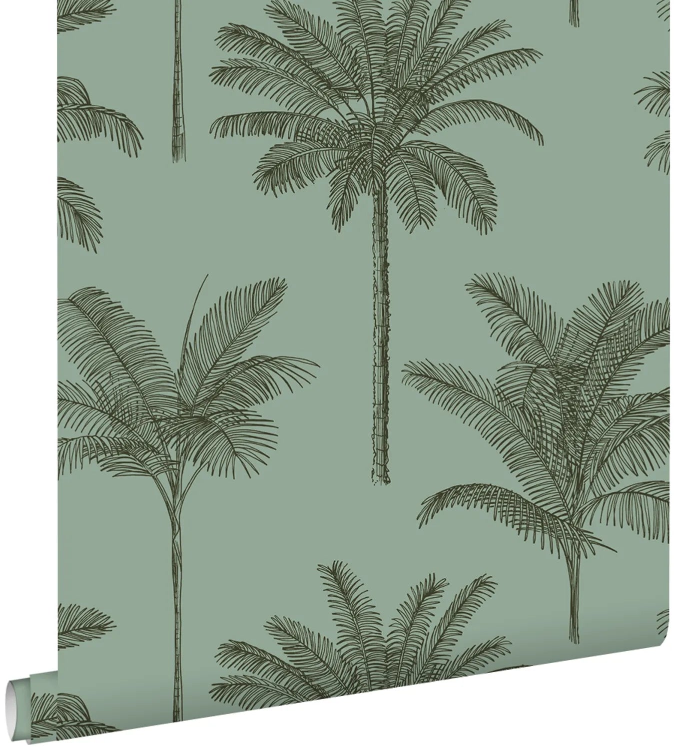Paradise - Country Palm