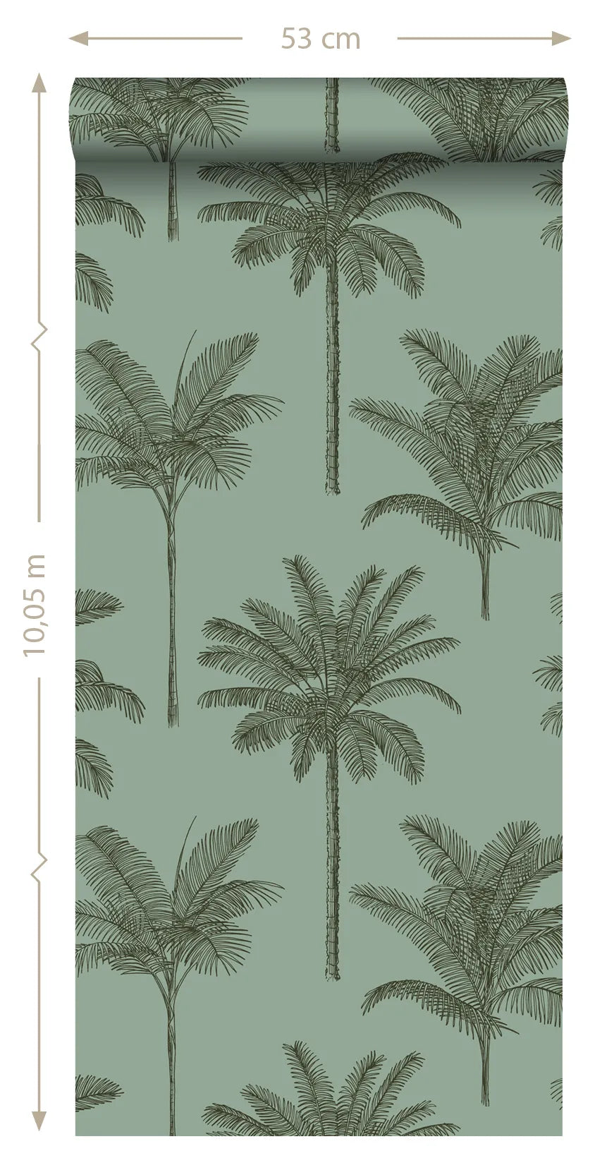 Paradise - Country Palm