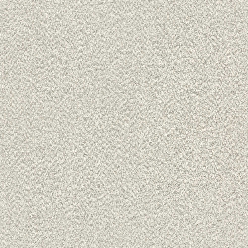 Attractive 2 - Lustrous Textured Plain plain wallpaper AS Creation Roll Beige  390262
