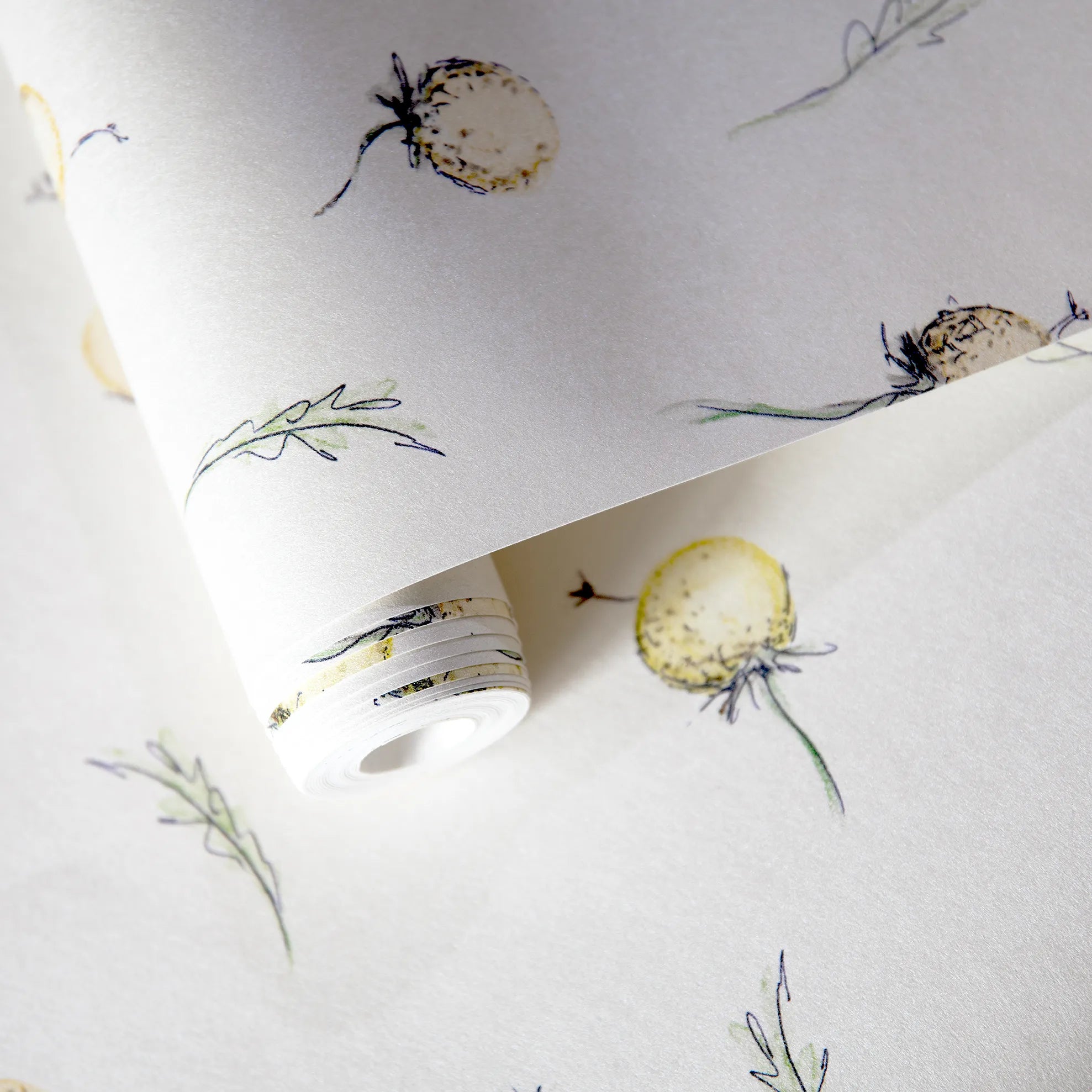 Happy Inner Child - Dandelion kids wallpaper Hohenberger
