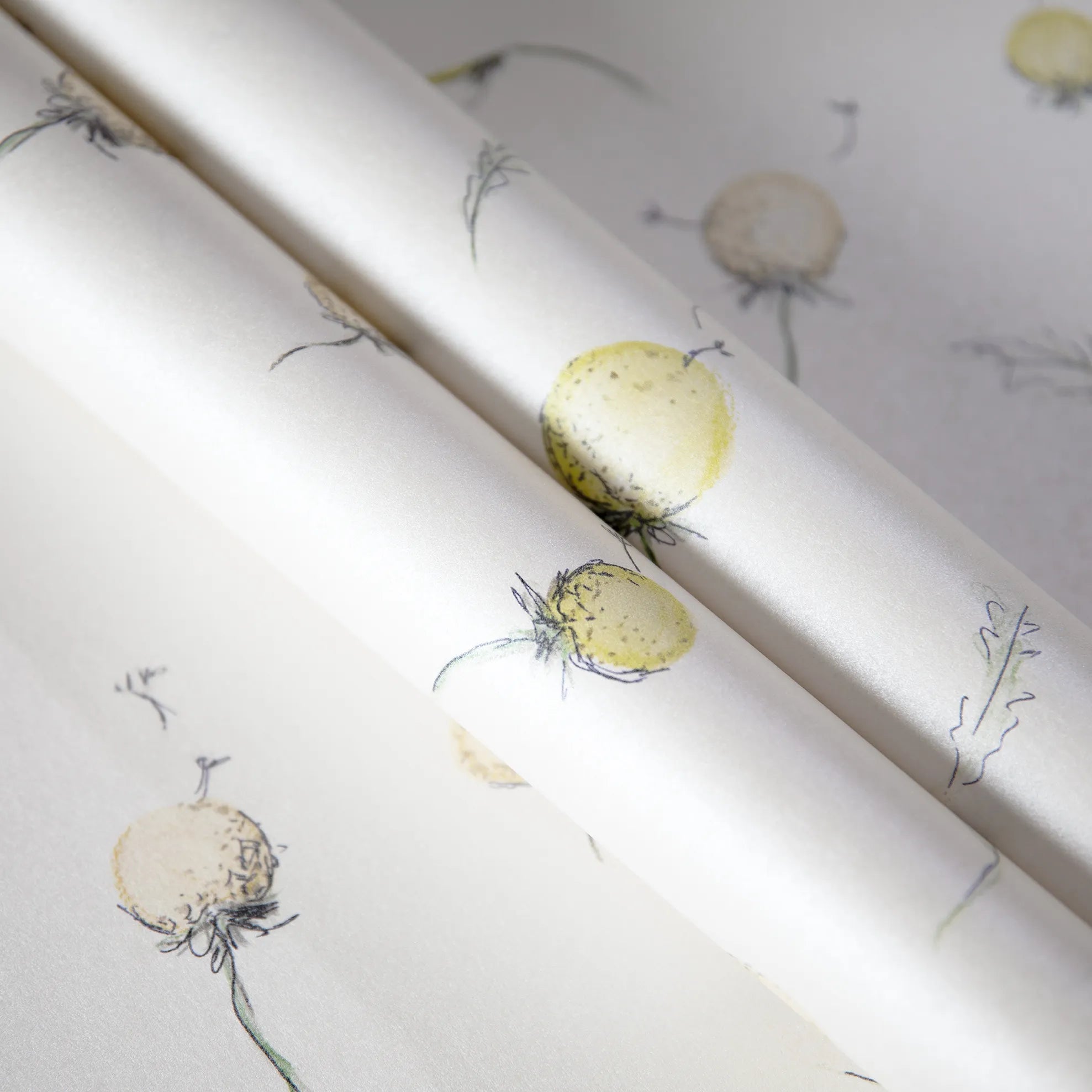 Happy Inner Child - Dandelion kids wallpaper Hohenberger