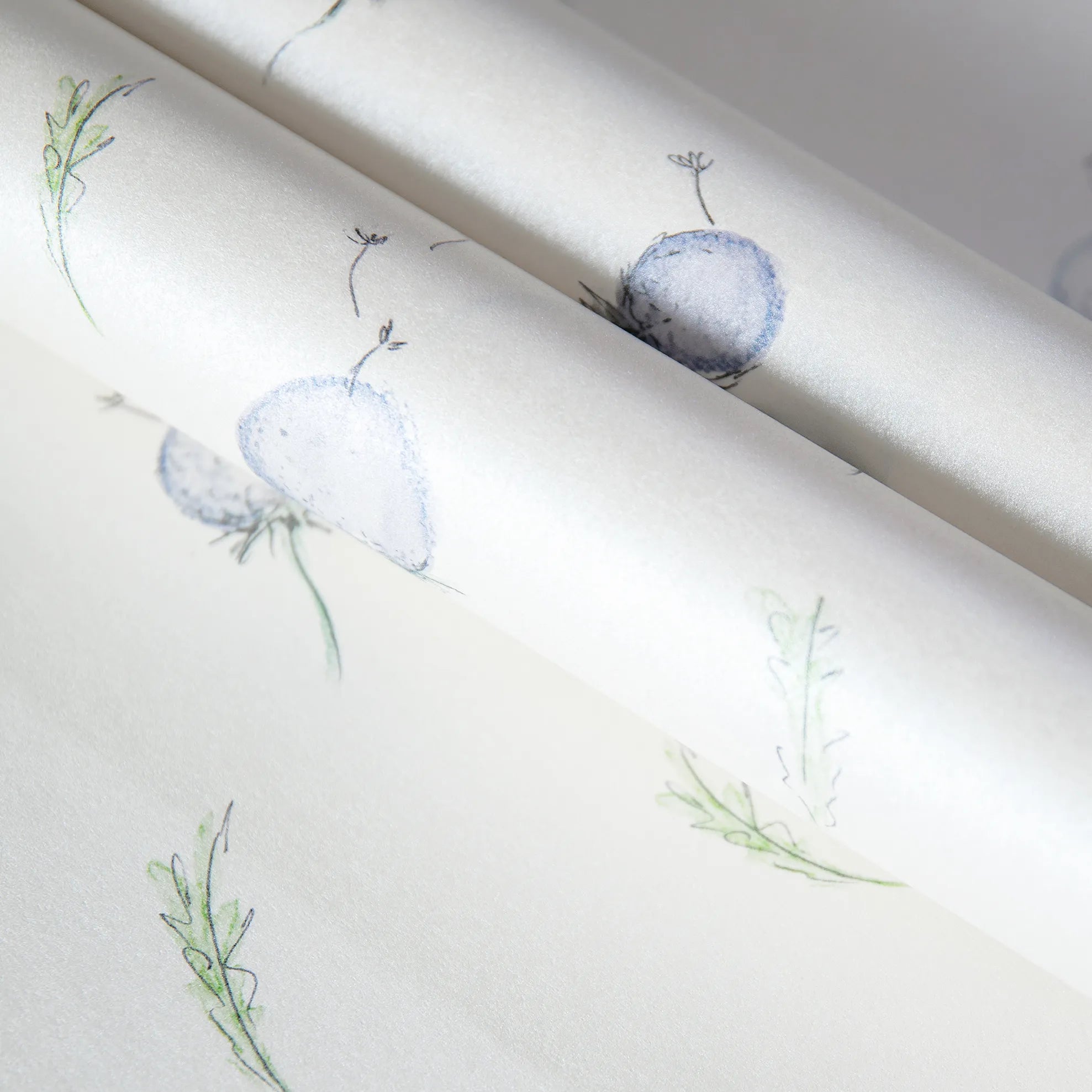 Happy Inner Child - Dandelion kids wallpaper Hohenberger