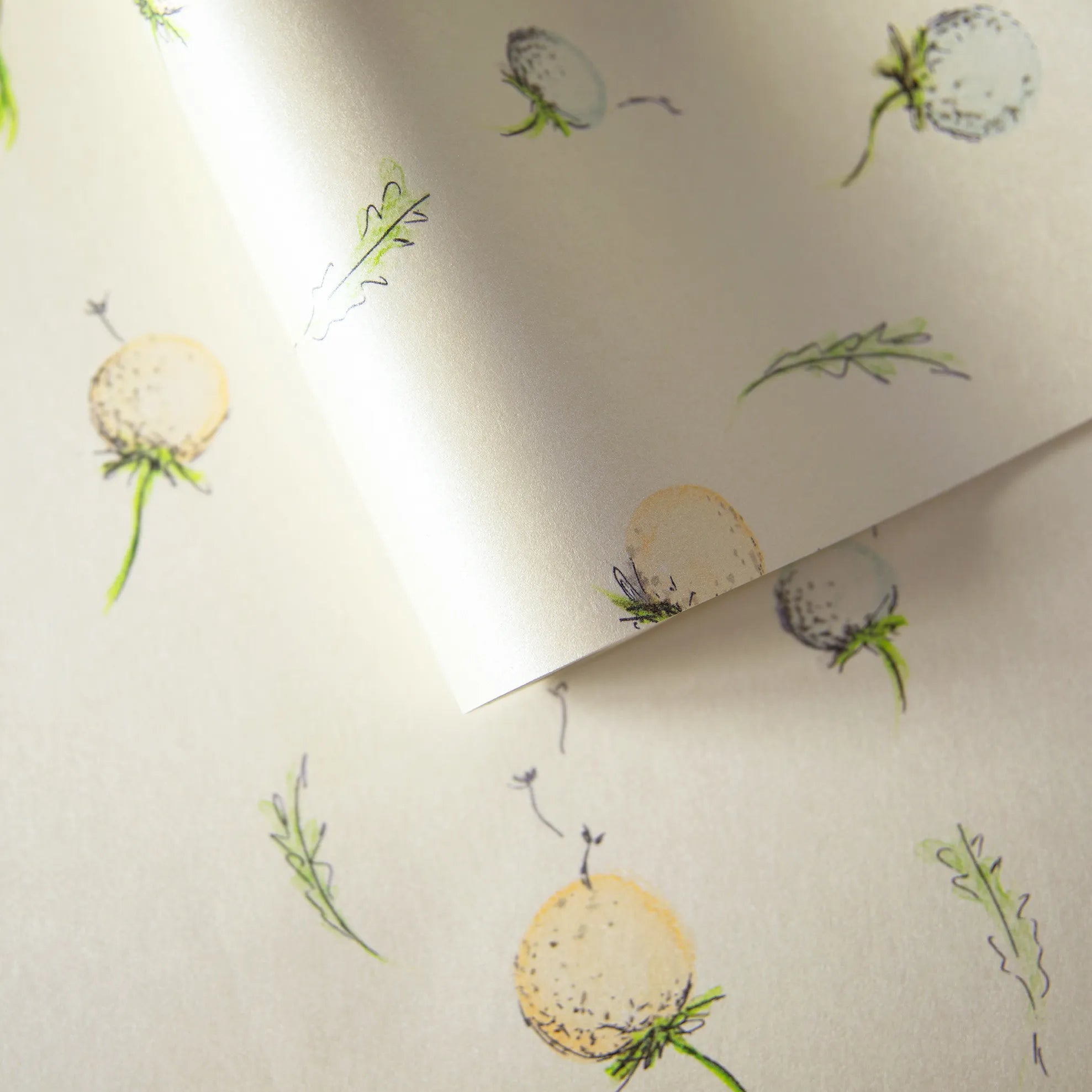 Happy Inner Child - Dandelion kids wallpaper Hohenberger