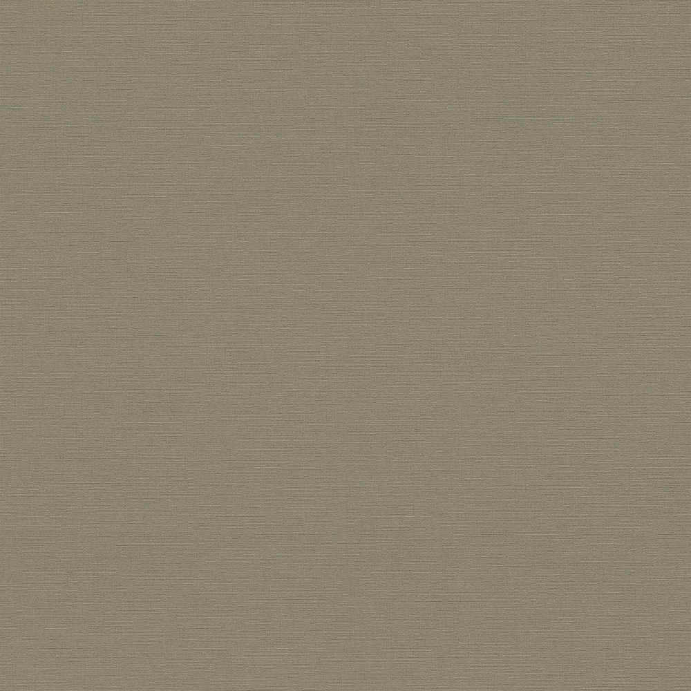 Antigua - Plain Satisfaction plain wallpaper AS Creation Roll Dark Green  390975