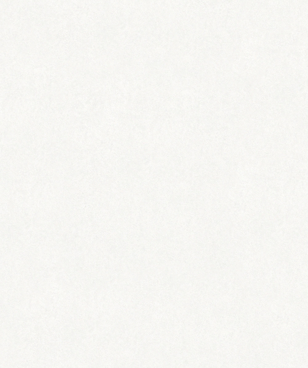 Habitat - Plain plain wallpaper Marburg Roll White  34032