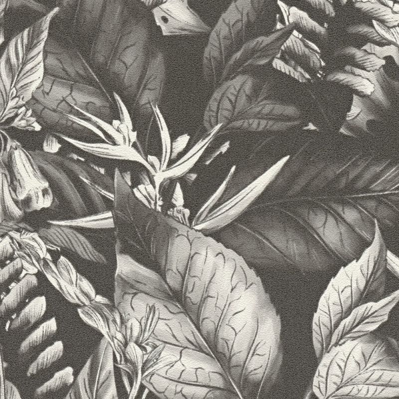 Drawn Into Nature - Dancing Nature botanical wallpaper AS Creation Roll Black 394252