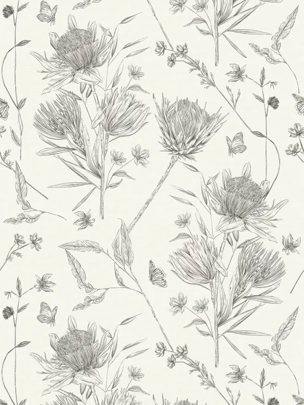 Drawn Into Nature - Protea botanical wallpaper AS Creation Roll Black 394272