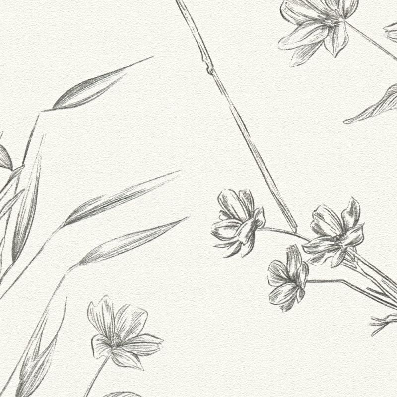 Drawn Into Nature - Protea botanical wallpaper AS Creation