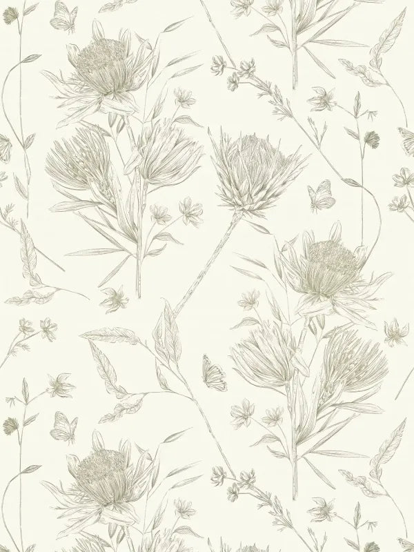 Drawn Into Nature - Protea botanical wallpaper AS Creation Roll Light Green 394273