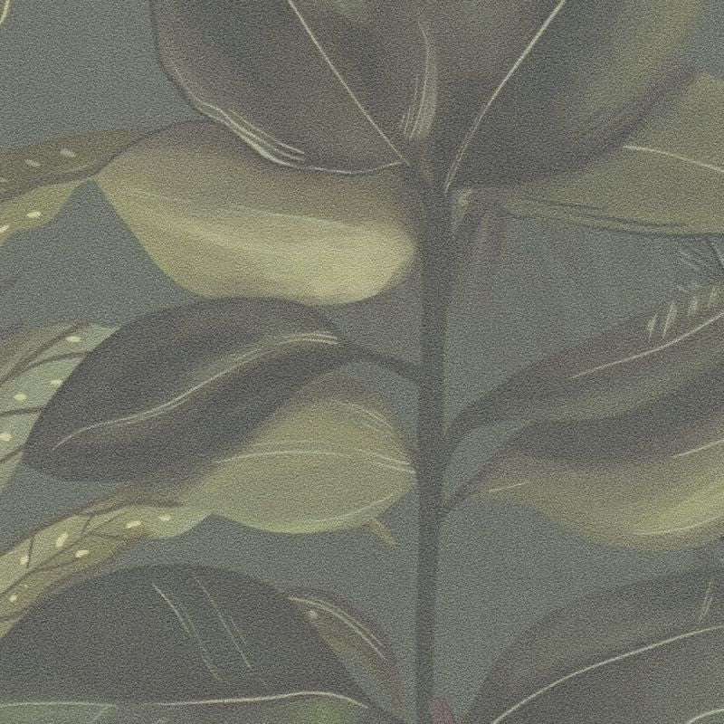 Drawn Into Nature - Mystery Jungle botanical wallpaper AS Creation