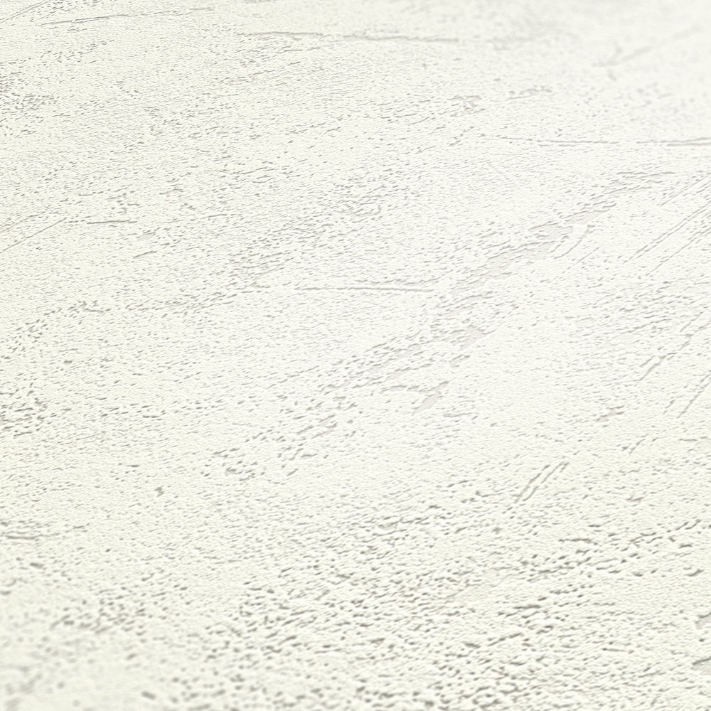 Attractive 2 - Plaster Look industrial wallpaper AS Creation    