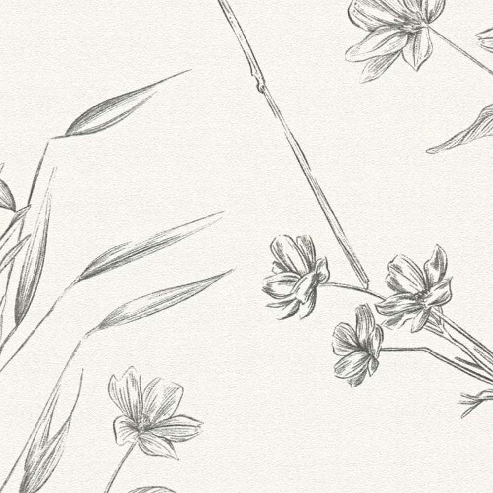 Drawn Into Nature - Protea botanical wallpaper AS Creation    
