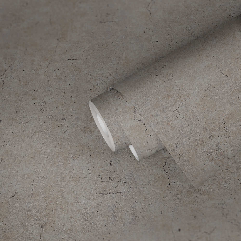 Industrial Elements - Contemporary Concrete plain wallpaper AS Creation    