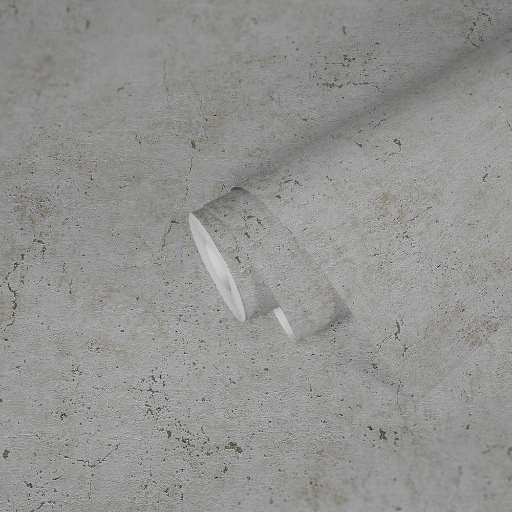 Industrial Elements - Contemporary Concrete plain wallpaper AS Creation    