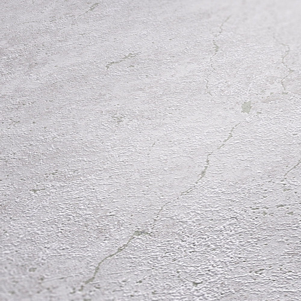 Industrial Elements - Contemporary Concrete plain wallpaper AS Creation    