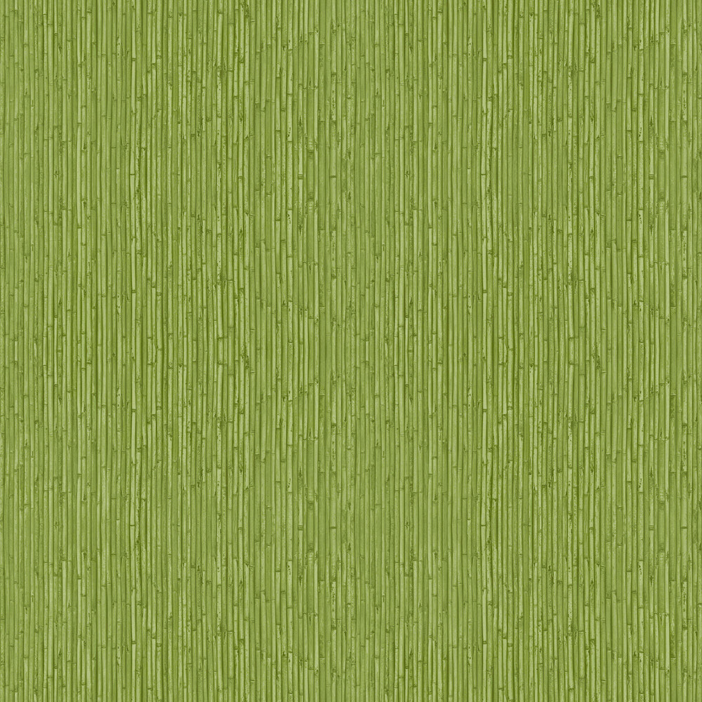 Flora - Bamboo bold wallpaper Parato Roll Green  18575