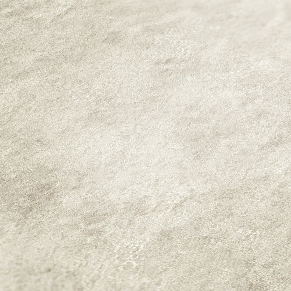 Industrial Elements - Weathered Concrete plain wallpaper AS Creation    