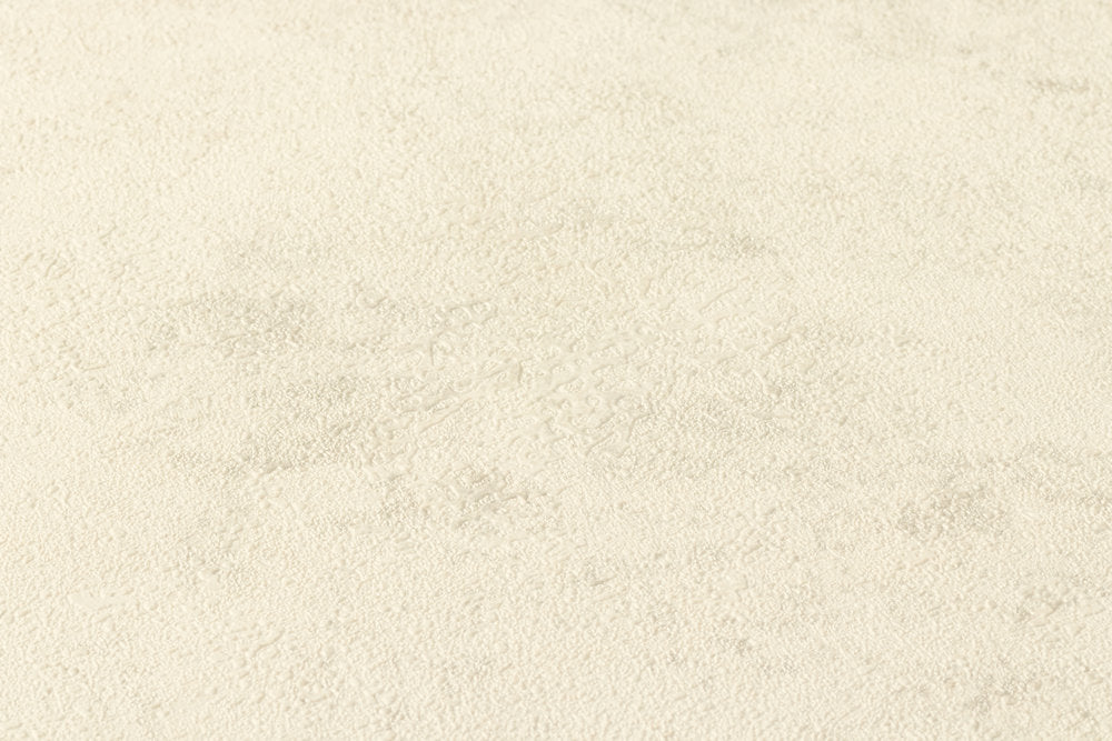 New Walls - Contempo Concrete plain wallpaper AS Creation    