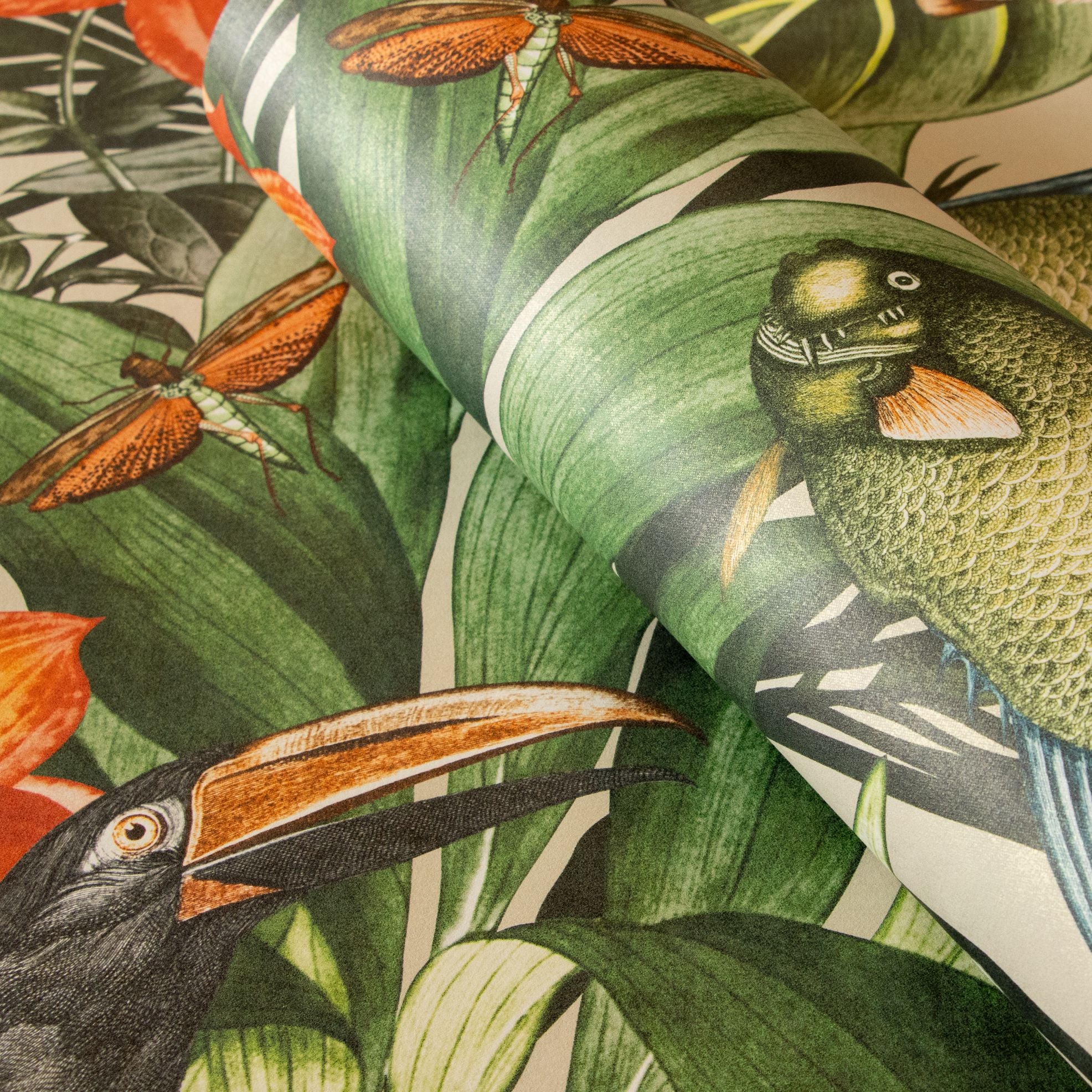 Tropical Dream  - Palau botanical wallpaper Hohenberger    