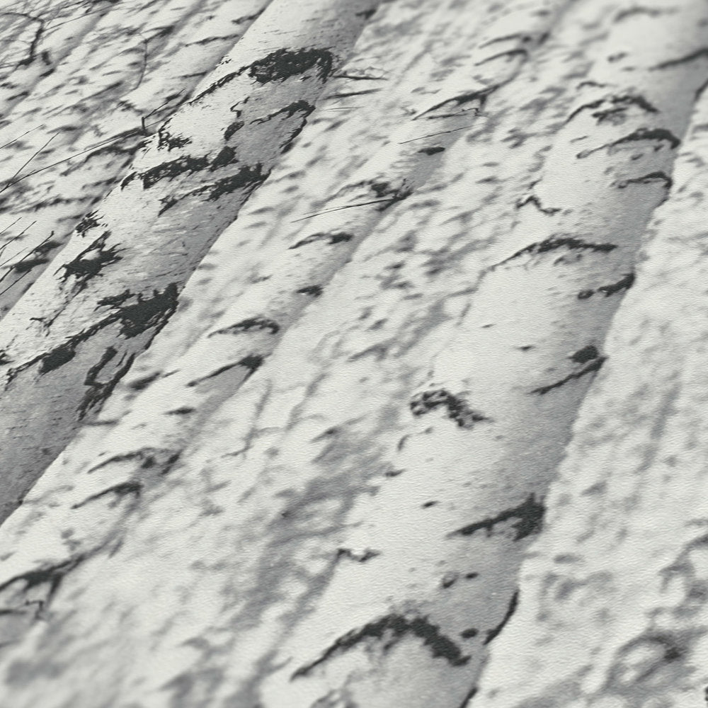 Pint Walls - Birch Trees botanical wallpaper AS Creation    