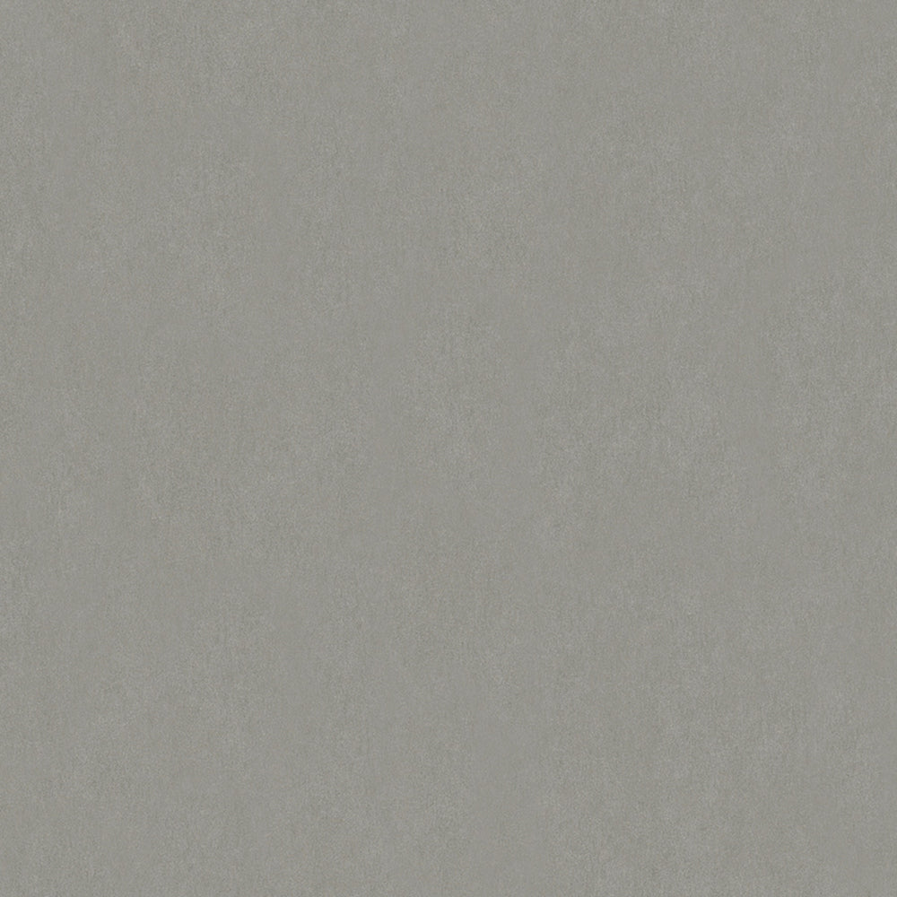 Memento - Plains plain wallpaper Marburg Roll Grey  32029