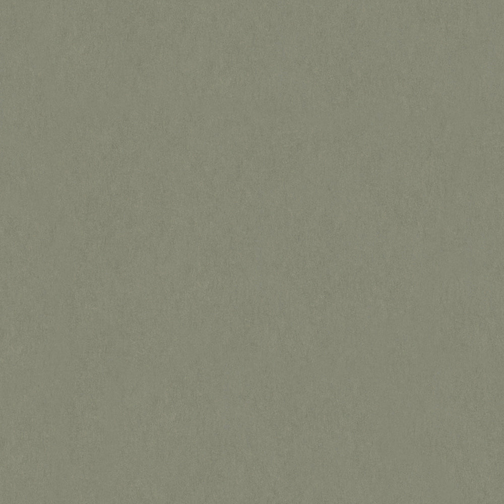 Memento - Plains plain wallpaper Marburg Roll Green  32031