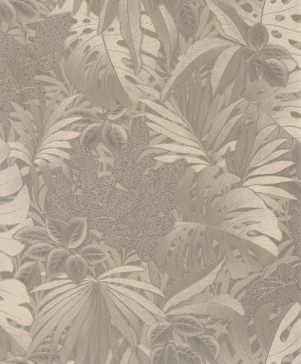 Botanica - Jungle Palms botanical wallpaper Marburg Roll Bronze  33303