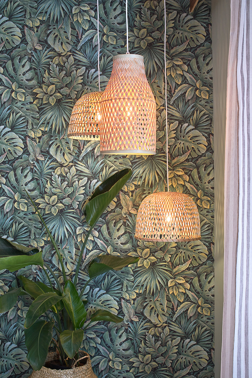 Botanica - Jungle Palms botanical wallpaper Marburg    