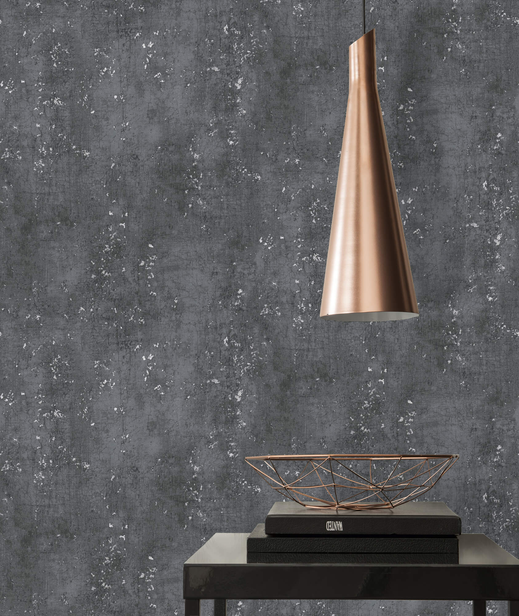 Titanium 3 - Concrete plain wallpaper AS Creation    