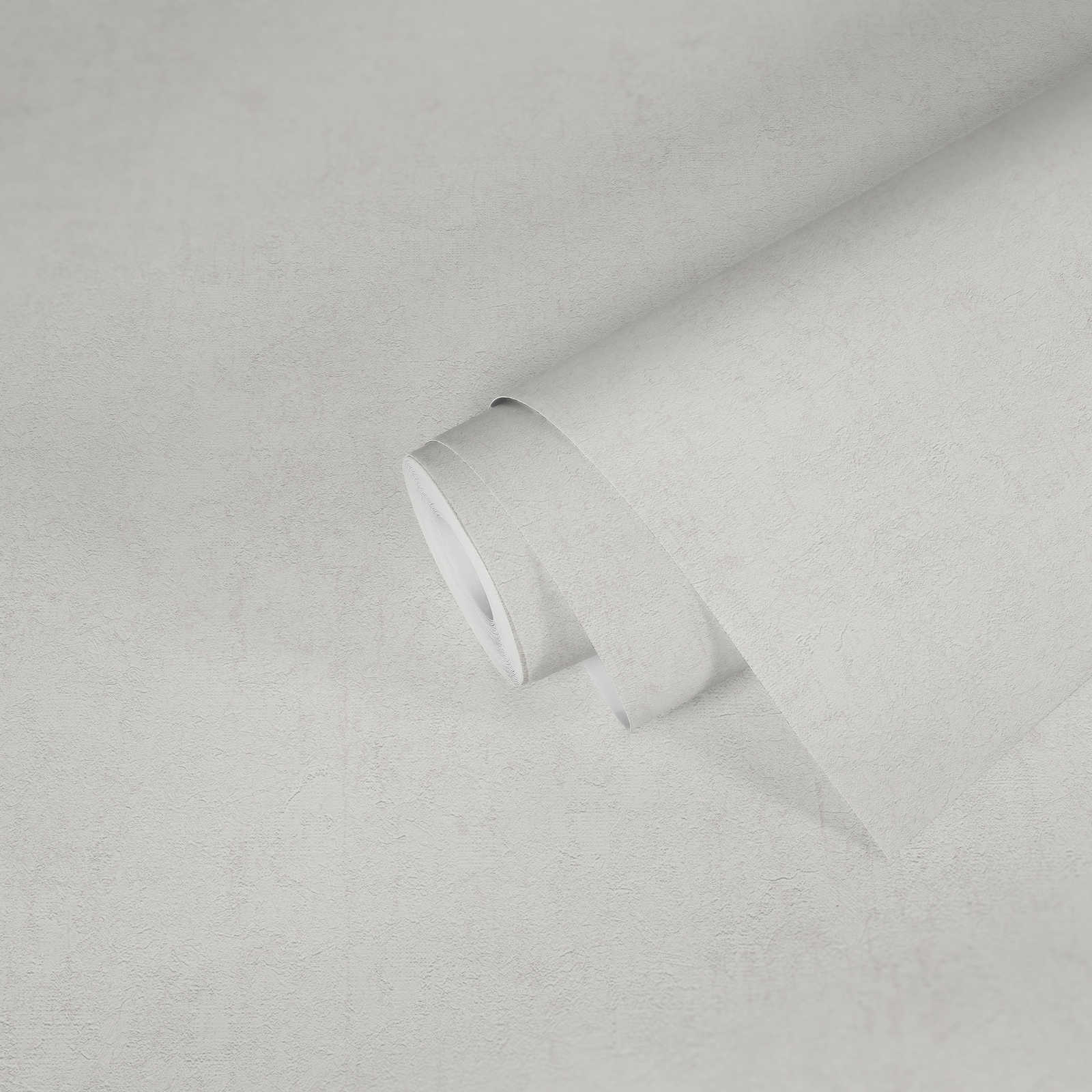 Titanium 3 - Concrete plain wallpaper AS Creation    