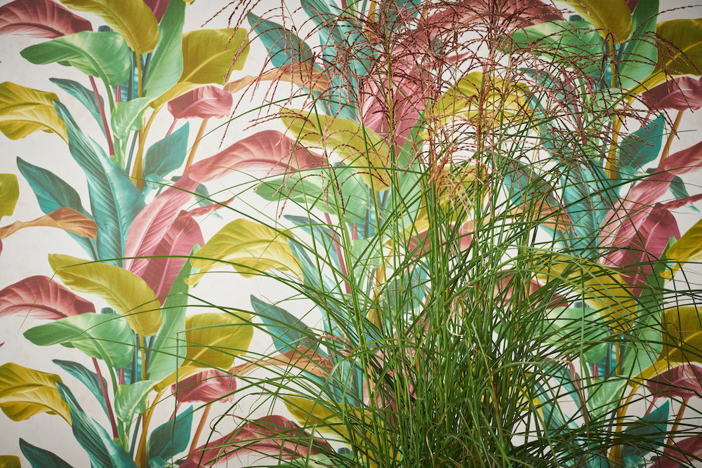 Metropolitan Stories 2 - Living Palms botanical wallpaper AS Creation    