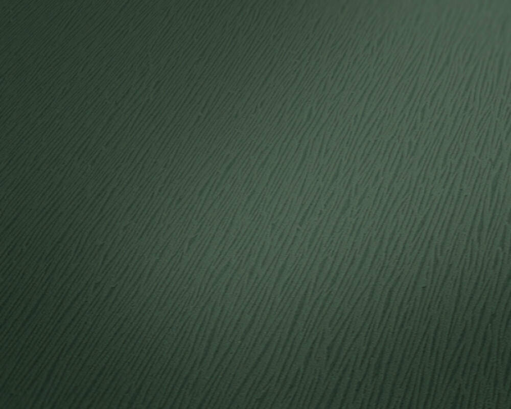 Trendwall 2 - Delicate Lines plain wallpaper AS Creation    
