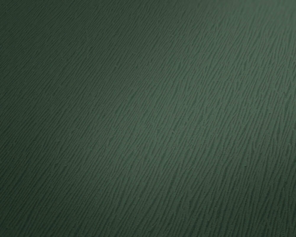 Trendwall 2 - Delicate Lines plain wallpaper AS Creation    