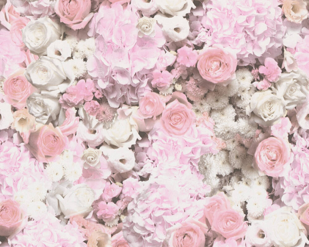 Trendwall 2 - Roses botanical wallpaper AS Creation Roll Pink  380081