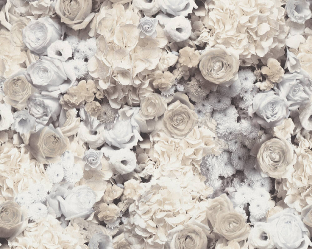 Trendwall 2 - Roses botanical wallpaper AS Creation Roll Grey  380083