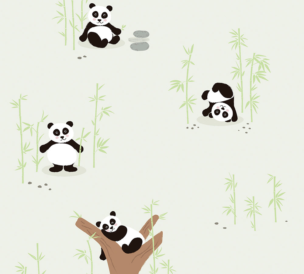 Little Love - Pandas kids wallpaper AS Creation Roll Green  381421