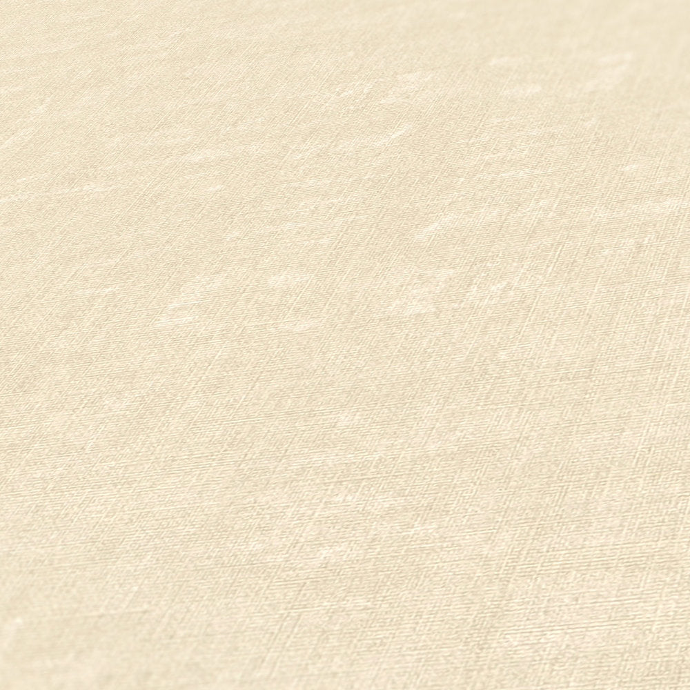 Nara - Mottled Plain plain wallpaper AS Creation    