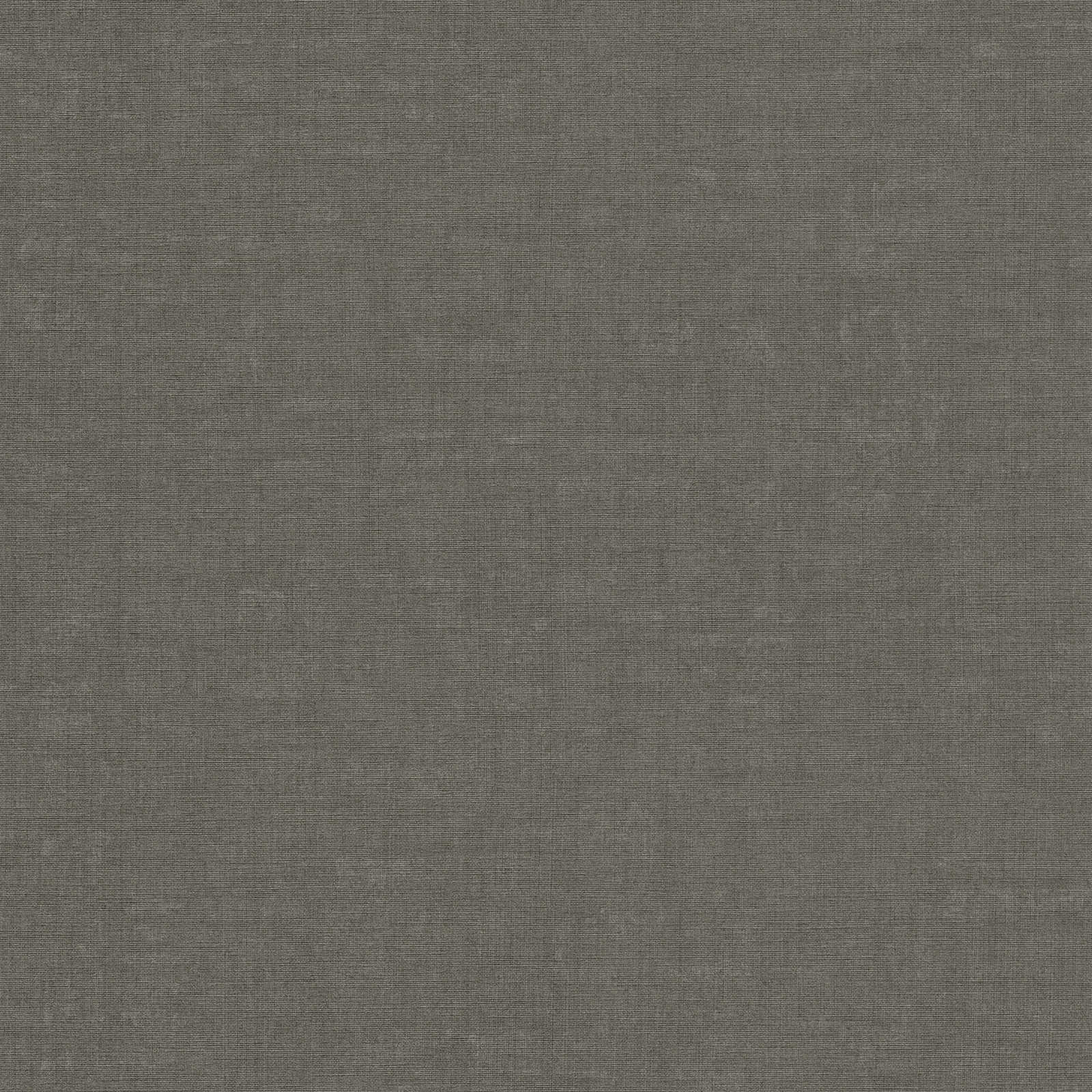 Nara - Mottled Plain plain wallpaper AS Creation Roll Dark Grey  387454