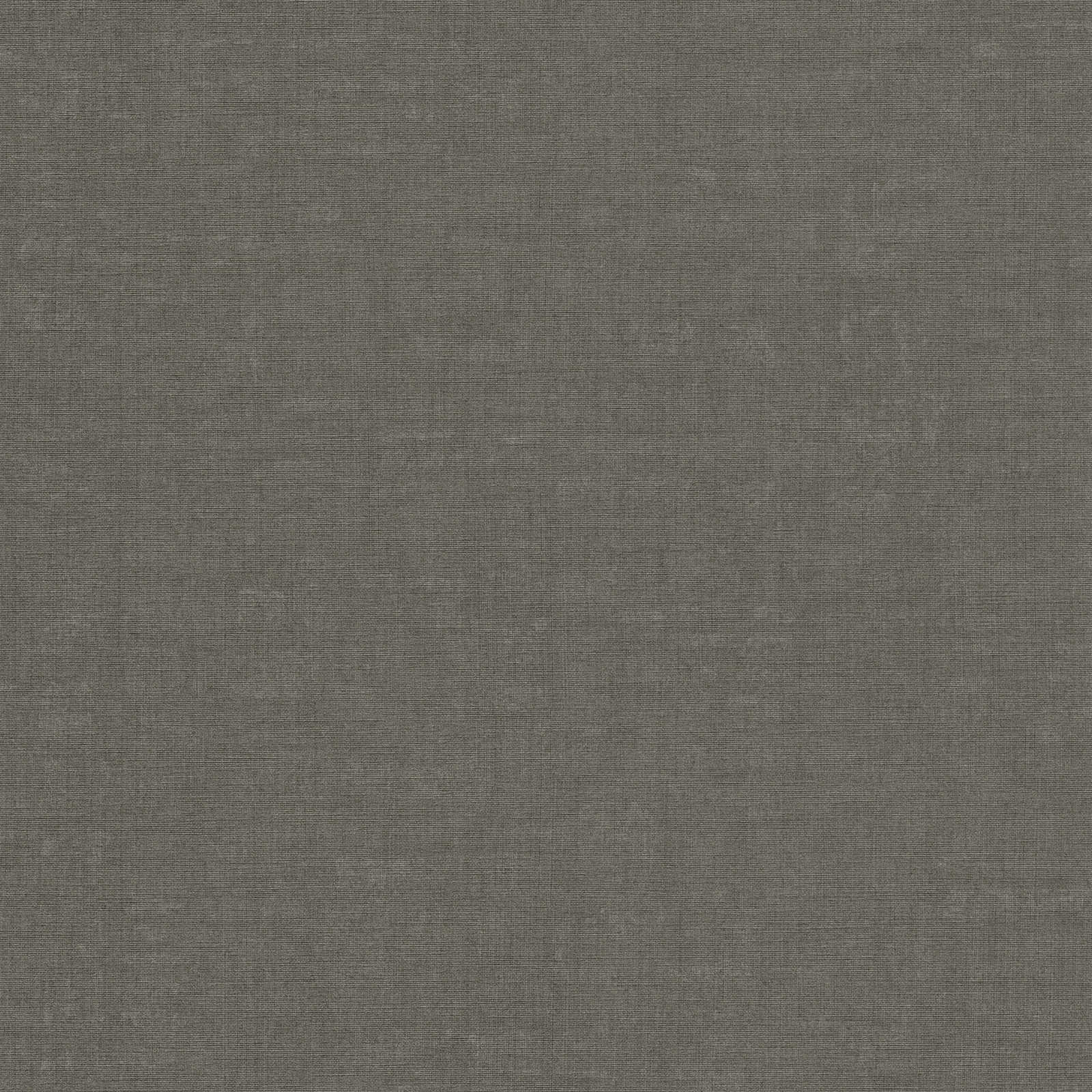 Nara - Mottled Plain plain wallpaper AS Creation Roll Dark Grey  387454