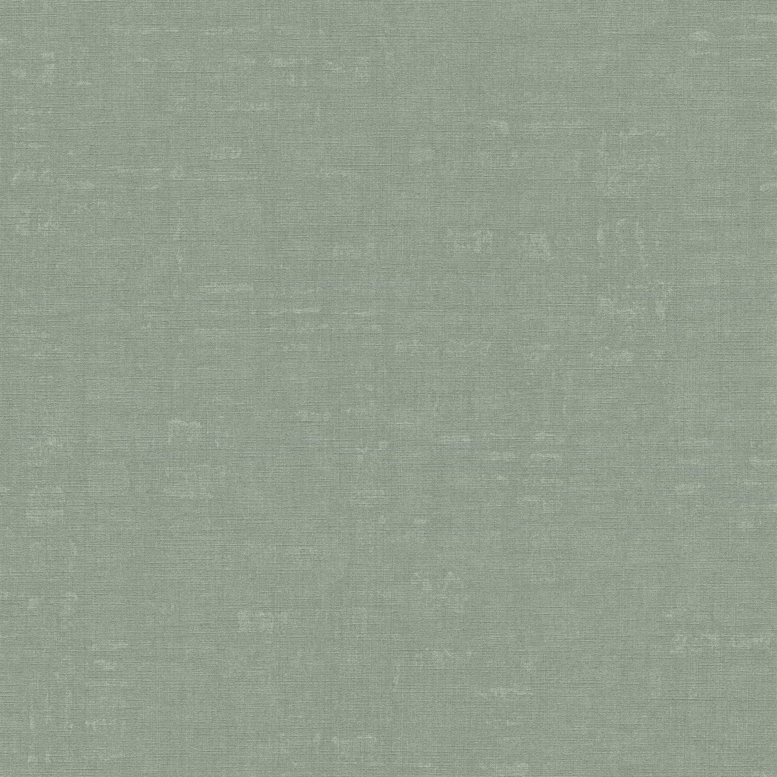Nara - Mottled Plain plain wallpaper AS Creation Roll Green  387456