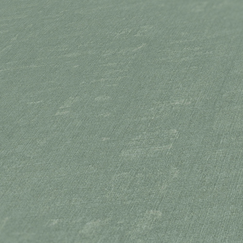 Nara - Mottled Plain plain wallpaper AS Creation    